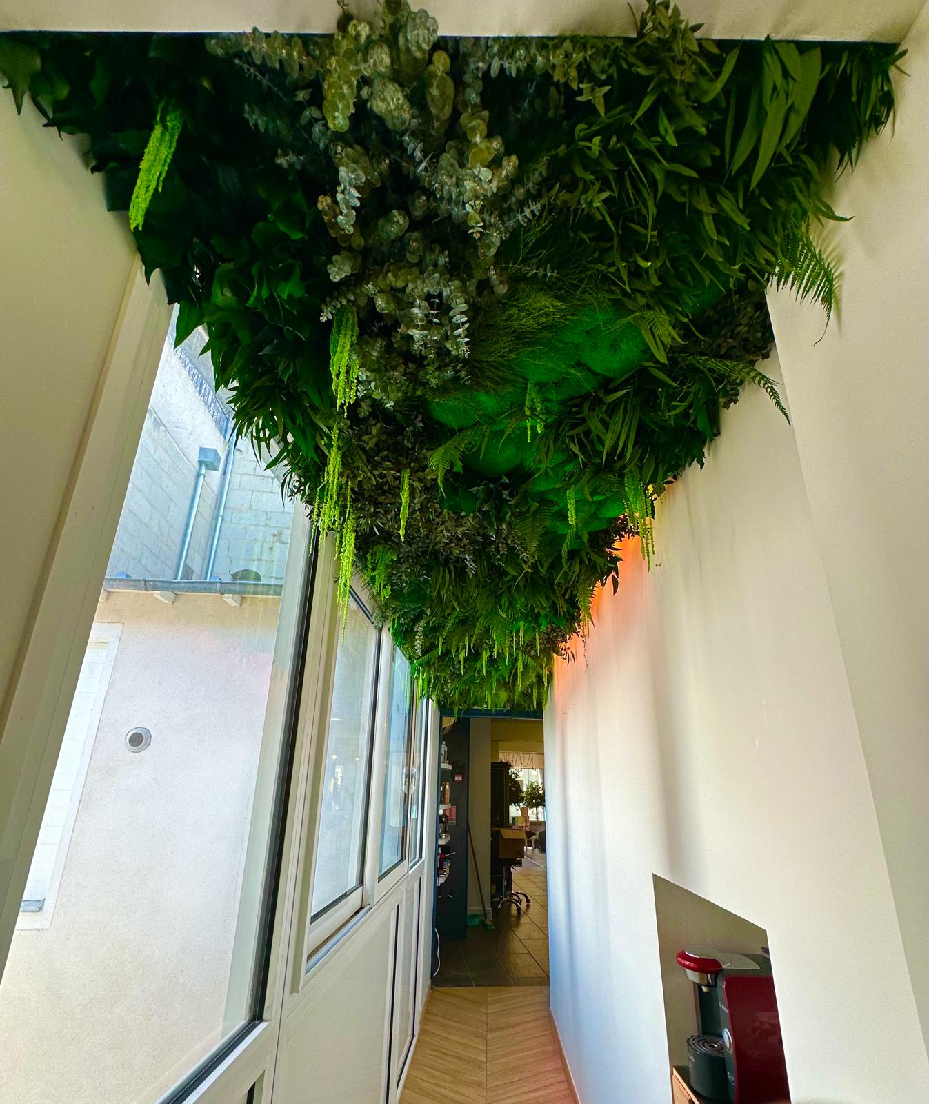 Mur végétal stabilisé - Abondance végétale