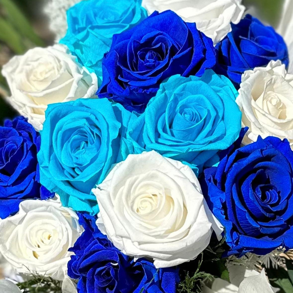 Rose éternelle sur tige