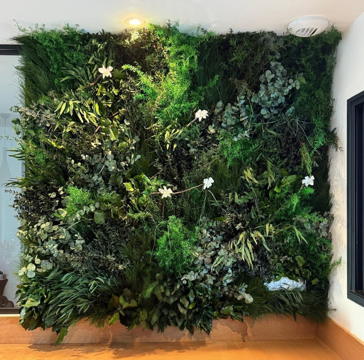 Mur végétal stabilisé - Abondance végétale