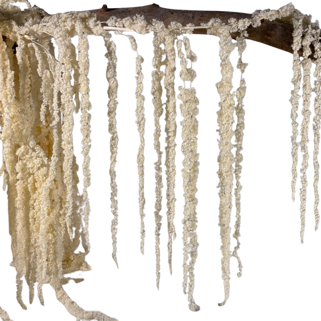 Amarante stabilisée