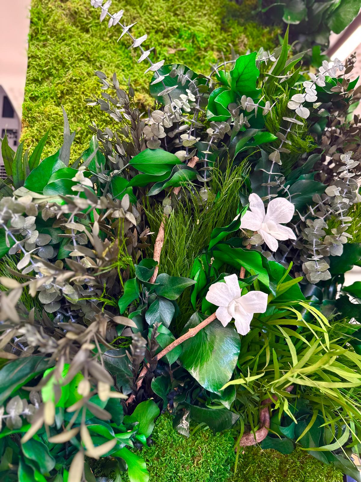 Mur végétal stabilisé - Végétal clairsemé