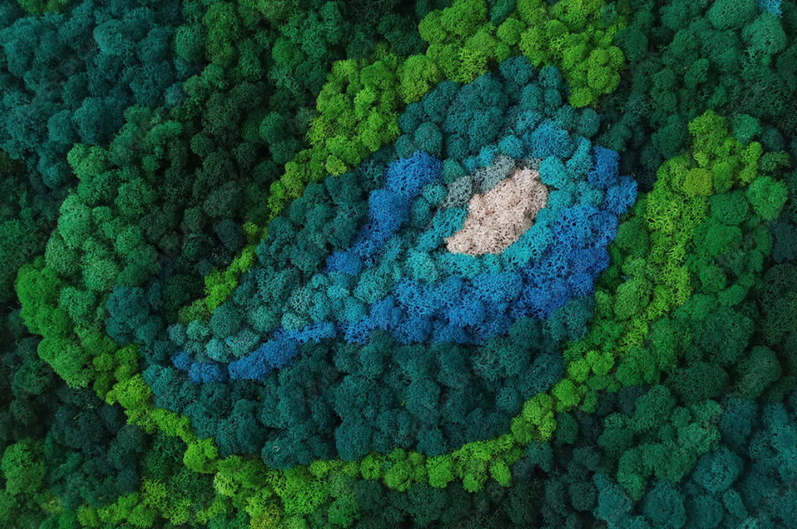 Mur Végétal Lichen 🌿