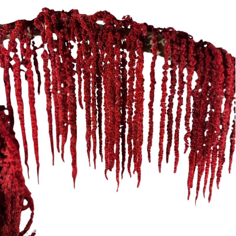 Amarante stabilisée