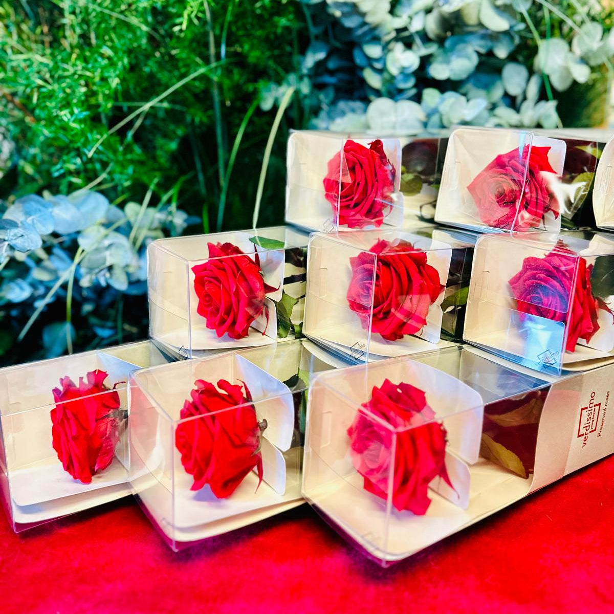 Rose éternelle sur tige