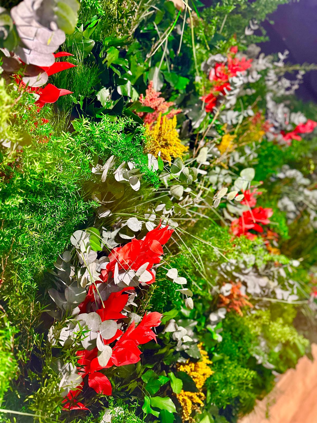 Mur végétal stabilisé - Abondance végétale