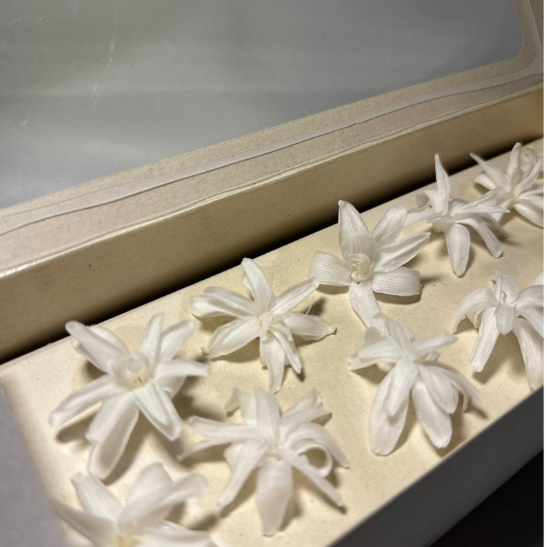 Tubéreuses stabilisées