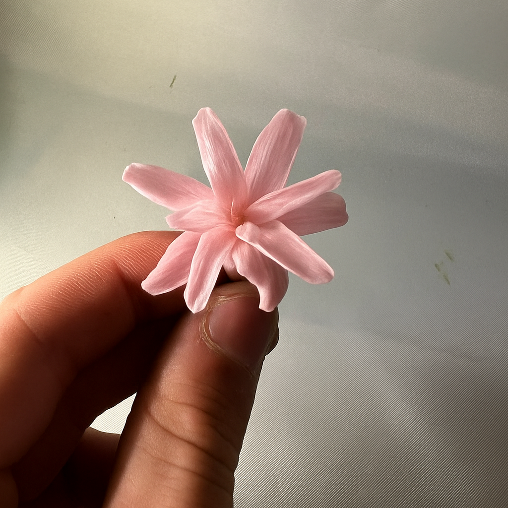 Tubéreuses stabilisées