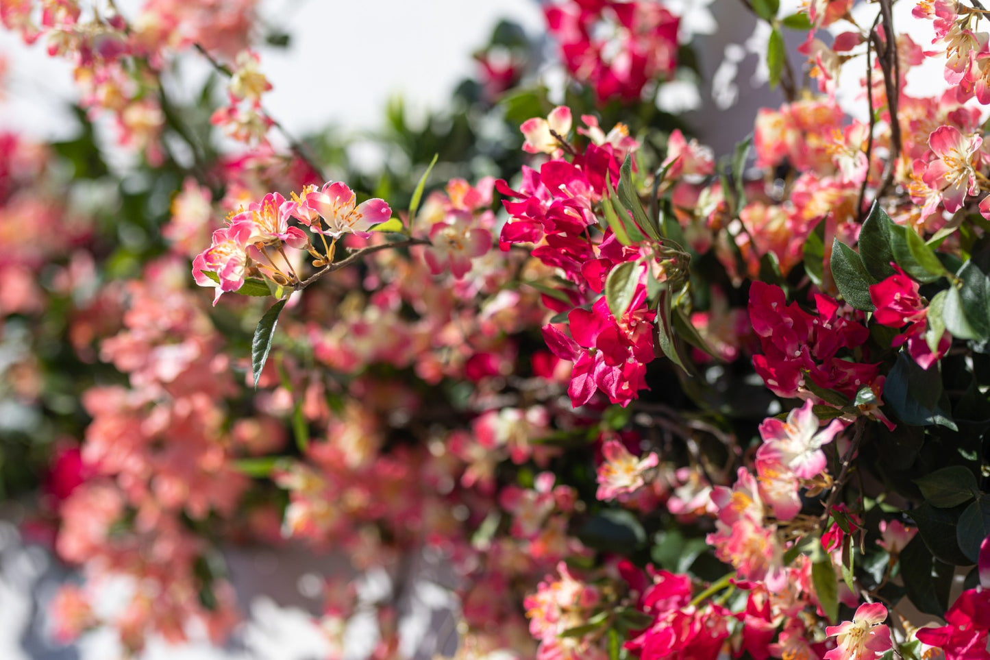 Mur végétal artificiel - Elégance végétal